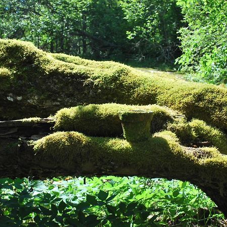 Kirjakkalan Ruukkikylae Teijo Cameră foto