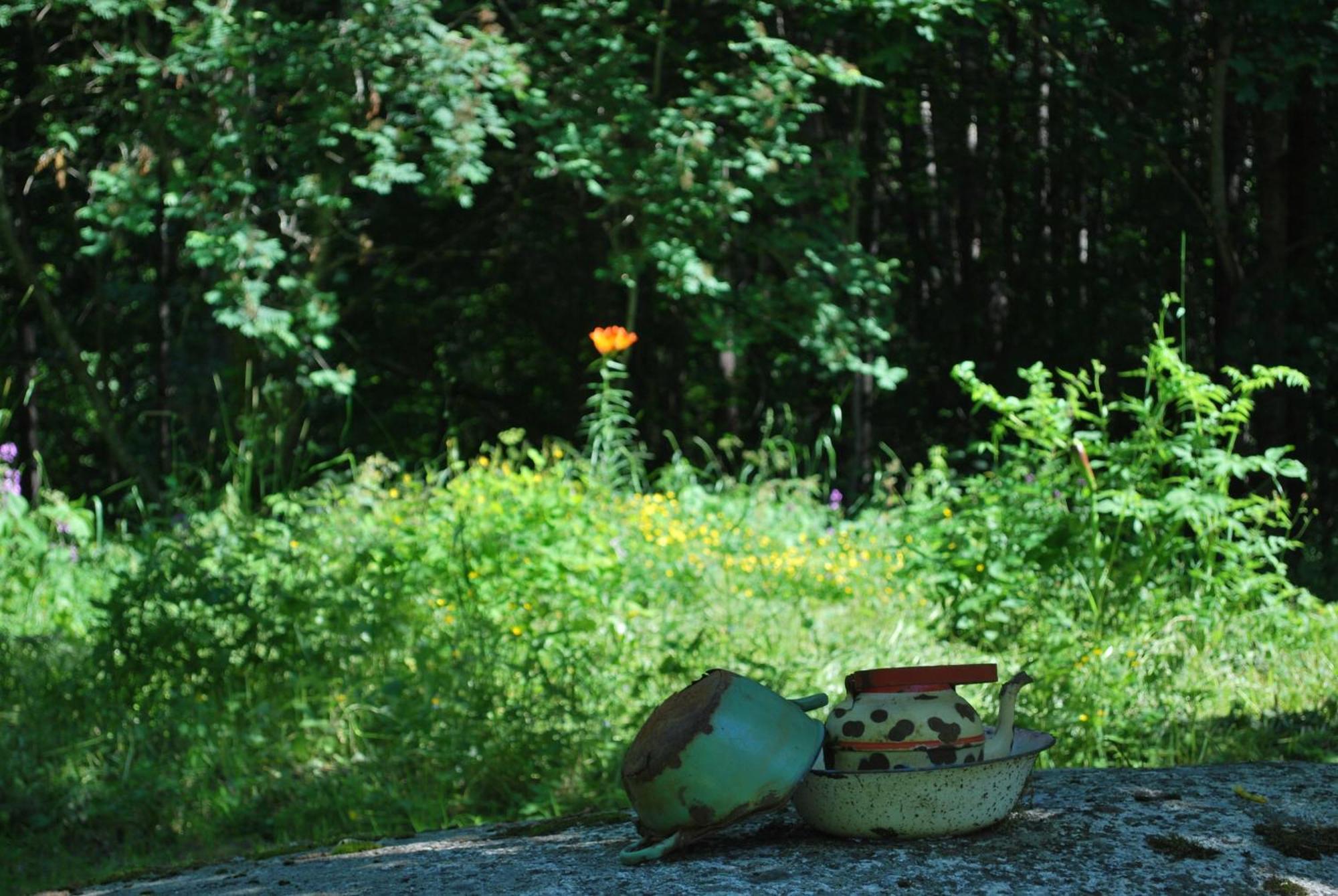 Kirjakkalan Ruukkikylae Teijo Cameră foto