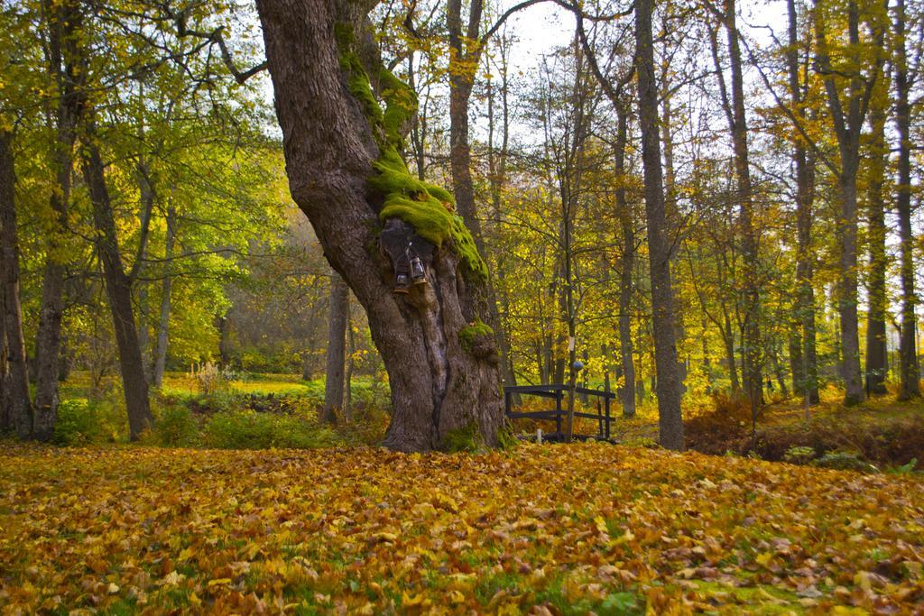 Kirjakkalan Ruukkikylae Teijo Exterior foto